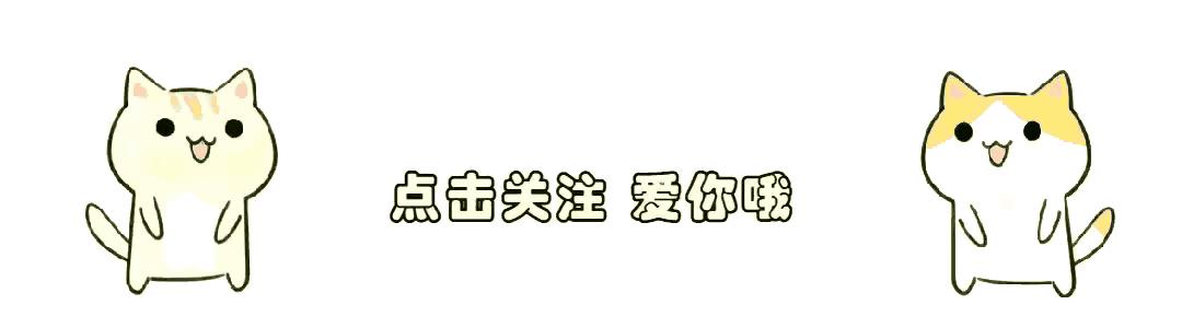 2024天天彩全年免费资料,探索2024天天彩全年免费资料的奥秘